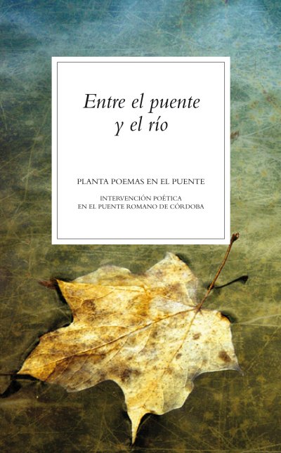 Entre el puente y el río